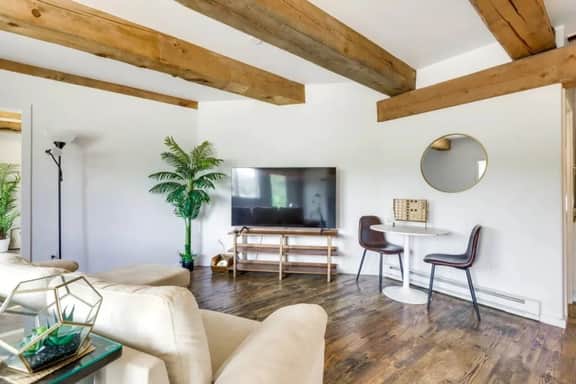Aspen Hideaway, Hot Tub, W/D, Furry Friends! - Image 2